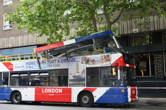 Bus wisata London tabrak pohon