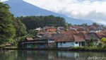 Potret Susur Desa Wisata Kopi Cibeureum di Kuningan