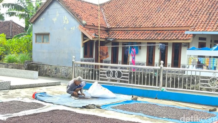Desa Wisata Cibeureum merupakan salah satu desa wisata di Kabupaten Kuningan yang menawarkan berbagai macam fasilitas seperti Danau Sanghiyangkendit, perkebunan kopi dan kedai kopi robusta Desa Wisata Cibeureum merupakan salah satu desa wisata di Kabupaten Kuningan yang menawarkan berbagai macam fasilitas seperti Danau Sanghiyangkendit, perkebunan kopi dan kedai kopi robusta