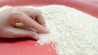 RI Ternyata Masih Impor Beras! Segini Besarnya