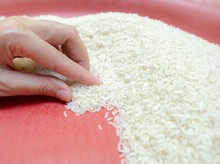 RI Siap Ekspor Beras 1 Juta Ton!