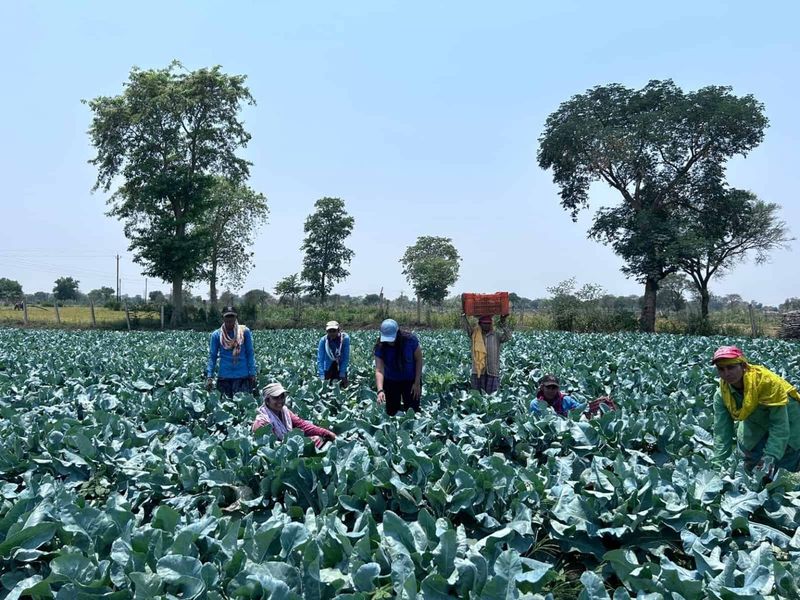 Lulusan S2 Alih Profesi Jadi Petani, Bisa Cuan hingga Rp 2,8 Miliar!