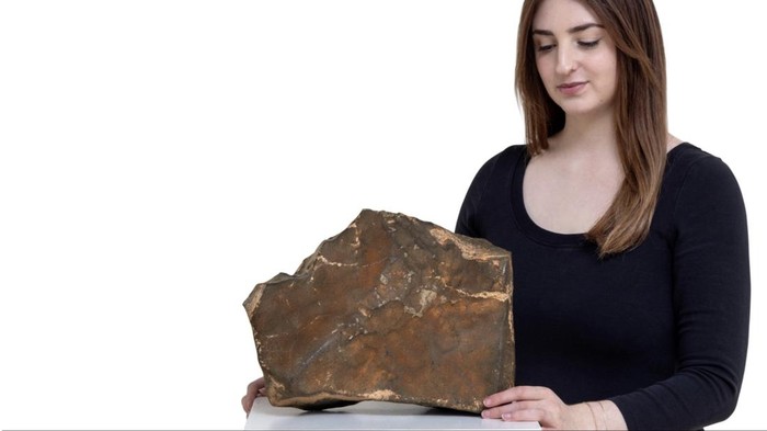 Meteorit NWA 16788 dari Mars yang akan dilelang
