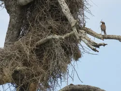 Tingkah Lucu Satwa Liar di Nikon Comedy Wildlife 2025, Bikin Ngakak!