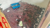 Kaca yang dipecahkan, berserakan di dalam rumah. Terlihat pula kotak pasir kucing yang belum berserakan tertinggal di dalam.