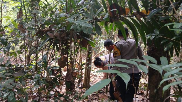 Polisi terluka saat mengevakuasi Beruang Madu yang terjerat jebakan warga di Indragiri Hulu, Riau, Selasa (15/7/2025).