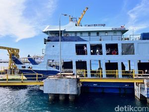 Turis Asing Tertahan di Kapal Imbas Truk Blokade Pintu Keluar Ketapang