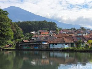 Menyesap Aroma dan Keindahan Desa Wisata Kopi Cibeureum Kuningan