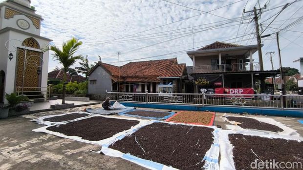 Suasana Desa Wisata Kopi Cibeureum Kuningan