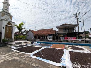 Mengulik Asal Usul dan Produksi Kopi di Cibeureum Kuningan
