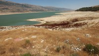Kegiatan pertanian di Lembah Bekaa juga terdampak signifikan. Para petani mengaku belum pernah menghadapi kondisi sekering ini pada satu dekade terakhir, dengan salju musim dingin menipis dan irigasi terganggu. (REUTERS/Aziz Taher) 