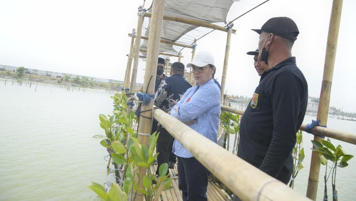 Wali Kota Semarang, Agustina Wilujeng Pramestuti meninjau kawasan Tambakrejo. Foto diunggah Rabu (16/7/2025).