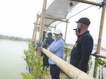 Dorong Ekonomi Pesisir, Walkot Semarang Bakal Sulap Tambakrejo Jadi Ekowisata