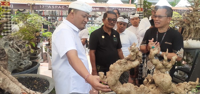Bupati Gianyar I Made Mahayastra meninjau langsung penyelenggaraan Asia Pacific Bonsai and Suiseki Convention (Aspac) yang digelar di Alun-alun Kota Gianyar
