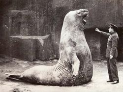 Potret Aneh tapi Nyata dari Masa Lalu yang Bikin Tercengang