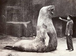 Potret Aneh tapi Nyata dari Masa Lalu yang Bikin Tercengang