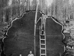 Potret Aneh tapi Nyata dari Masa Lalu yang Bikin Tercengang