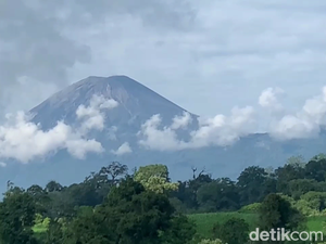 Status Terkini Gunung Semeru, Ini Prosedur hingga Tips Pendakian