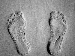 Jejak Homo Sapiens 115.000 Tahun Ditemukan di Gurun Arab Saudi