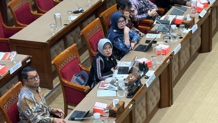 Kepala BPS Amalia Adininggar Widyasanti saat Rapat Dengar Pendapat (RDP)
