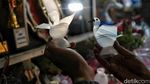 Impian jadi Dokter ke Seniman, Sutrisno Menyulam Harapan Lewat Karya Limbah