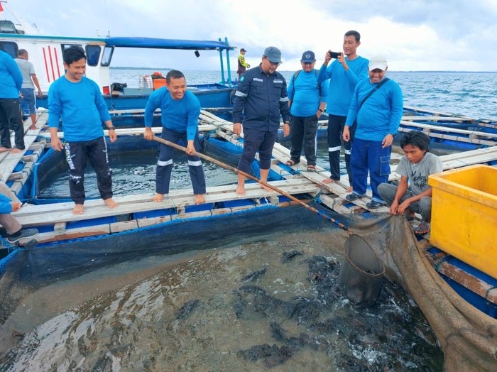 MIND ID secara konsisten menjalankan program pengembangan ekonomi masyarakat pesisir dan laut dengan mendukung kegiatan budidaya ikan laut.