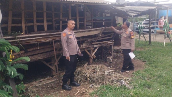 Lagi-lagi Jagal Kambing Sisakan Jeroan Hantui Depok