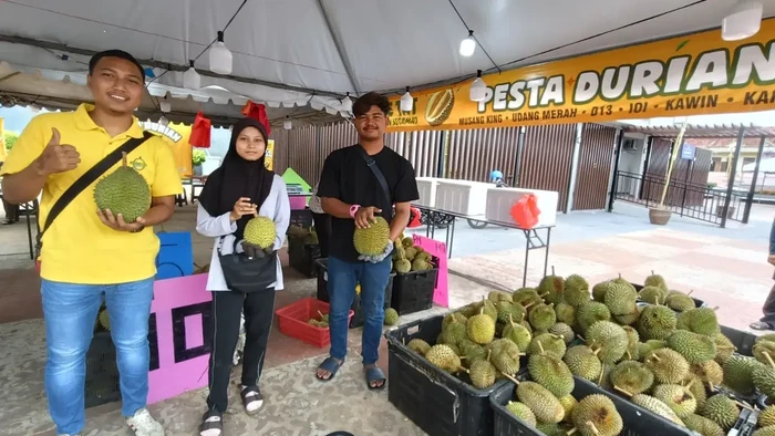 Gokil! Petani Durian Gen Z Raup Untung Hingga Rp 19,2 M
