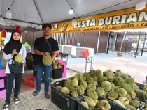 Gokil! Petani Durian Gen Z Raup Untung Hingga Rp 19,2 M
