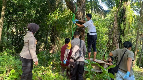 Polisi melakukan olah TKP terhadap seorang pria yang ditemukan tergantung di pohon mangga perkebunan warga, di  Lombok Utara, NTB. (Foto: dok. Polres Lombok Utara/detikBali).