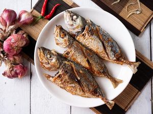 Harga Sembako Jogja Hari Ini 25 September 2025: Ikan Kembung Pelan-pelan Naik!