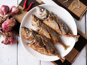 Harga Sembako Jogja Hari Ini 25 September 2025: Ikan Kembung Pelan-pelan Naik!