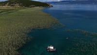 Para arkeolog yang bekerja di tepi Danau Ohrid di Albania mengatakan mereka telah menemukan permukiman manusia tertua yang dibangun di sebuah danau di Eropa. Penemuan ini mengungkap bukti komunitas berburu dan bertani terorganisir yang hidup hingga 8.000 tahun yang lalu. Foto: REUTERS/Fatos Bytyci