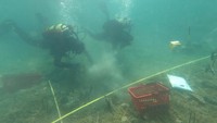 Usia temuan ini ditentukan melalui penanggalan radiokarbon dan dendrokronologi, yang mengukur lingkaran pertumbuhan tahunan pada pohon. Lebih dari seribu sampel kayu telah dikumpulkan dari situs tersebut, yang kemungkinan pernah dihuni oleh beberapa ratus orang. Luasnya diperkirakan sekitar enam hektar, tetapi sejauh ini, baru sekitar 1% yang telah digali setelah enam tahun pengerjaan. Foto: LIN3/Kristi Anastasi/Handout via REUTERS