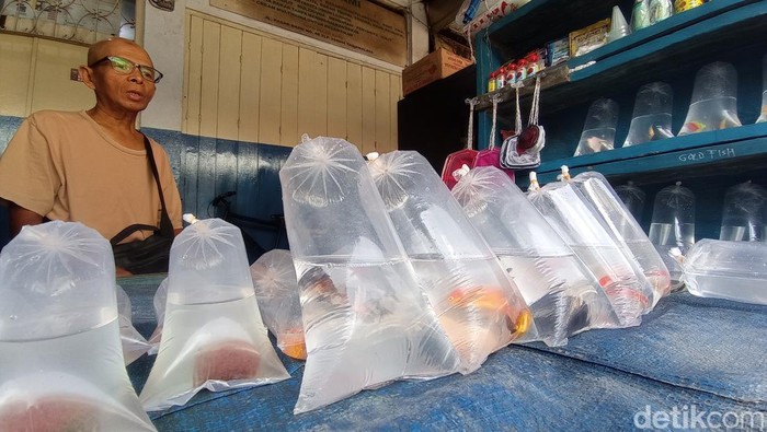 Suasana Pasar Karlis, pusat penjualan ikan hias di Tasikmalaya.