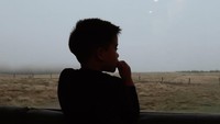 Keene Atharrazka Adhitya, putra semata wayang Citra Kirana dan Rezky Aditya lagi asyik menikmati pemandangan indah dari dalam campervan. Foto: dok. Instagram Citra Kirana