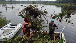 Eceng Gondok Kepung Situ Gunung Putri, Ancaman Banjir Makin Nyata