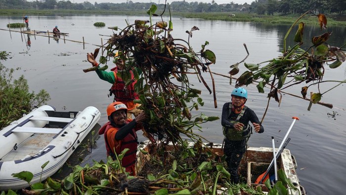 Foto udara petugas Desa Tangguh Bencana (Destana) Gunung Putri mendampingi tim Balai Besar Konservasi Sumber Daya Alam (BKSDA) menggunakan perahu karet saat memantau hama tanaman eceng gondok yang memenuhi Situ Gunung Putri, Kabupaten Bogor,  Jawa Barat, Jumat (18/7/2025). Eceng gondok yang menutupi permukaan situ menyebabkan pendangkalan dan menjadi salah satu penyebab banjir di kawasan tersebut saat terjadi hujan deras, dan penduduk setempat mengharapkan Pemerintah Provinsi Jawa Barat untuk menangani permasalahan tersebut. ANTARA FOTO/Yulius Satria Wijaya/rwa.