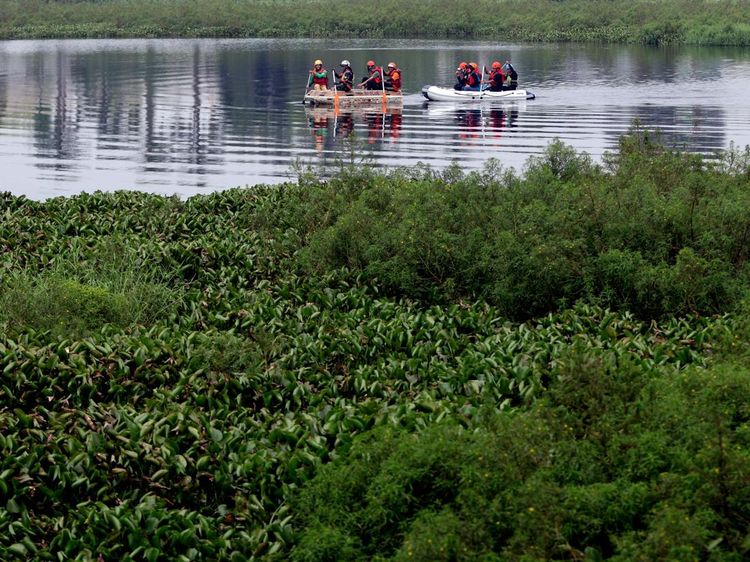 Eceng Gondok Kepung Situ Gunung Putri, Ancaman Banjir Makin Nyata