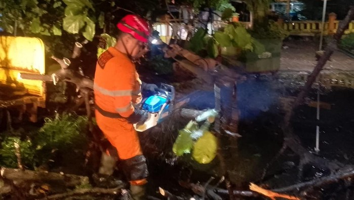 Hujan deras disertai angin kencang mengakibatkan Pohon Ketapang setinggi 8 meter tumbang di Jl Raya Pondok Rumput, Tanahsareal, Kota Bogor. (Dok istimewa).