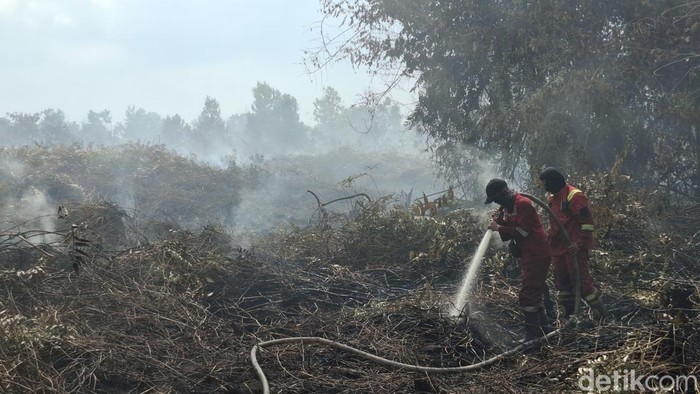 Petugas Manggala Agni melakukan pemadaman karhutla di Riau beberapa waktu lalu