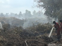 Titik Panas di Jambi Meningkat, Paling Banyak di Tanjabbar