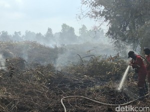 510 Hektare Lahan di Riau Terbakar!
