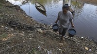 Warga mengangkut air dari Sungai Kumpeh yang surut. Warga masih memanfaatkannya untuk mandi dan mencuci meski debit air menurun drastis. Foto: ANTARA FOTO/Wahdi Septiawan