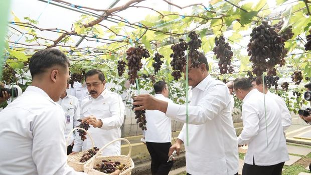 Menteri Imigrasi dan Pemasyarakatan (Imipas) Agus Andrianto mengunjungi Rutan Bandung. Menteri Agus sempat berdialog dengan warga binaan hingga memanen anggur. (dok Ditjen Pas)