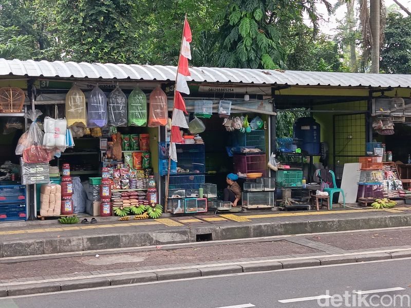 Pasar Hewan Barito