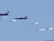 Pasokan Bom ke Junta Myanmar Diduga Libatkan Perusahaan China