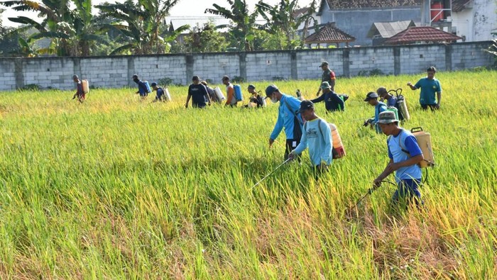 Penyemprotan massal di Ponorogo