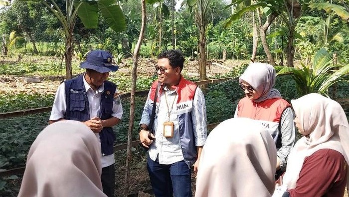 Pertamina Gelar Pelatihan Budidaya Tanaman Berkelanjutan di OKU