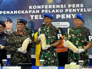 Telur Penyu Disebut Bisa Tingkatkan Stamina Pria, Dirjen PSDKP: Hoaks!